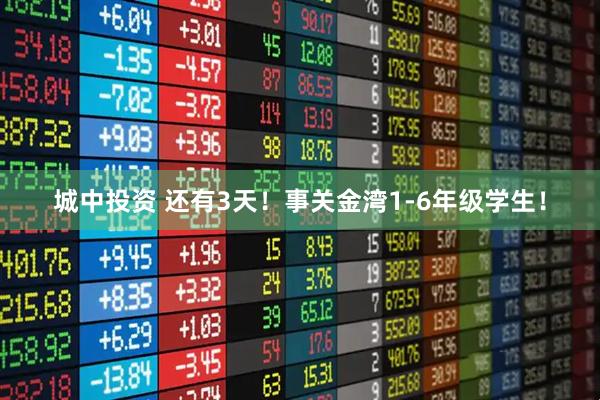 城中投资 还有3天！事关金湾1-6年级学生！