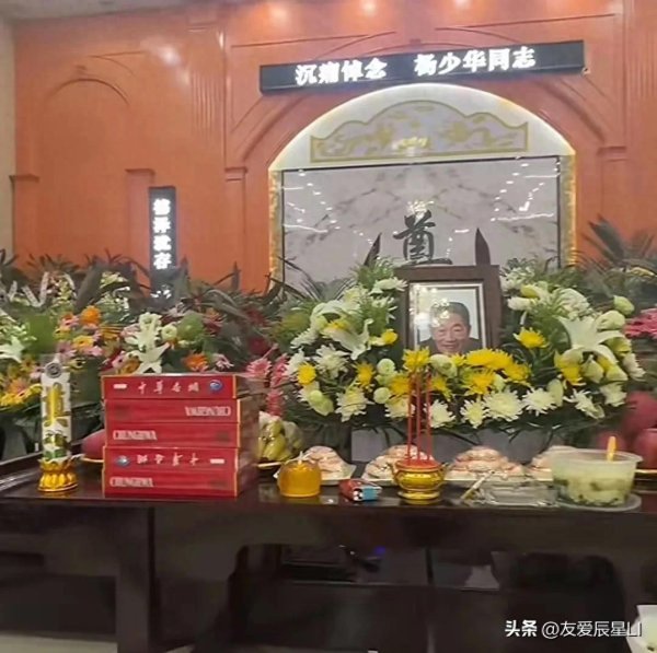 富才配资 杨少华大儿子：父亲送医的时已经不行了，最后一句话曝光，头晕