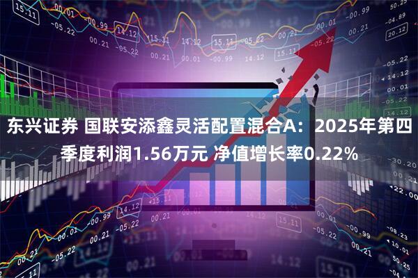 东兴证券 国联安添鑫灵活配置混合A：2025年第四季度利润1.56万元 净值增长率0.22%