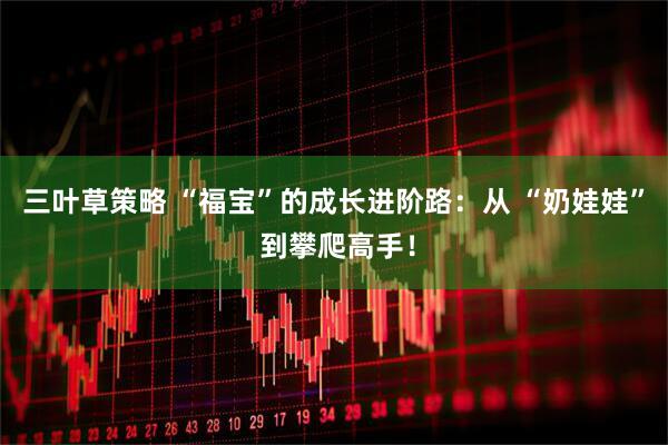 三叶草策略 “福宝”的成长进阶路：从 “奶娃娃” 到攀爬高手！