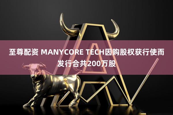 至尊配资 MANYCORE TECH因购股权获行使而发行合共200万股